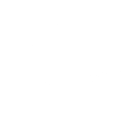 Deichjung